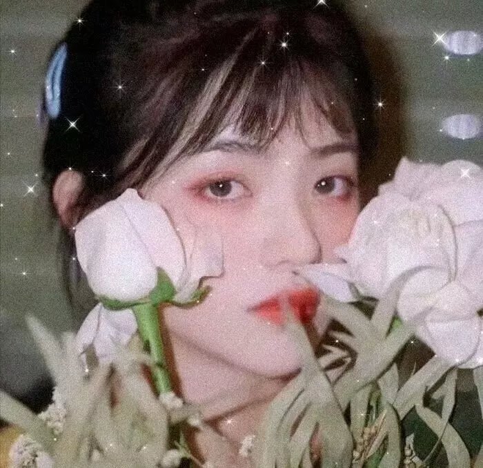 我的长征